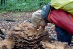 waldkindergarten-dresden-pilze