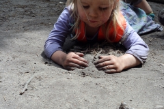 waldkindergarten-dresden-sand