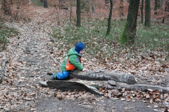 waldkindergarten-dresden-waldkind